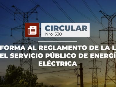 Reforma al reglamento de la ley del servicio público de energía eléctrica